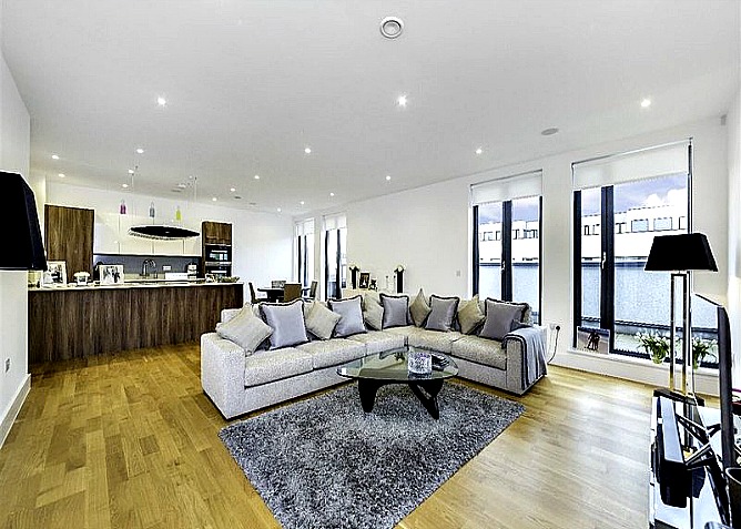 reception room Hampstead penthouse